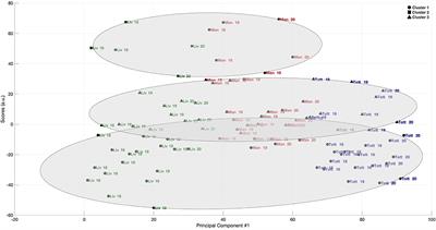 Guardiola, Klopp, and Pochettino: The Purveyors of What? The Use of Passing Network Analysis to Identify and Compare Coaching Styles in Professional Football